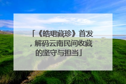《皓珺藏珍》首发，解码云南民间收藏的坚守与担当