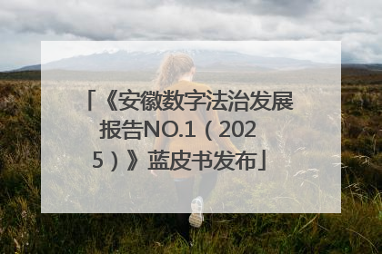 《安徽数字法治发展报告NO.1（2025）》蓝皮书发布
