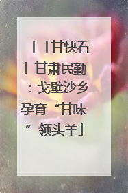 「甘快看」甘肃民勤：戈壁沙乡孕育“甘味”领头羊