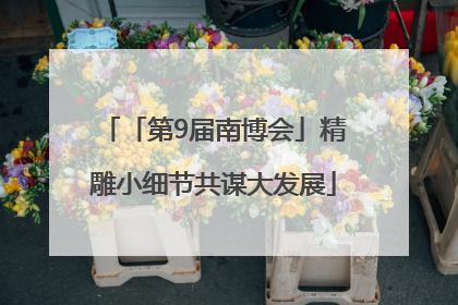 「第9届南博会」精雕小细节共谋大发展