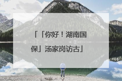 「你好！湖南国保」汤家岗访古