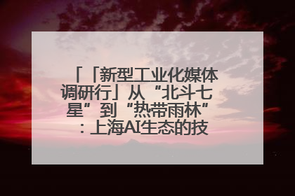 「新型工业化媒体调研行」从“北斗七星”到“热带雨林”：上海AI生态的技术商业共生密码