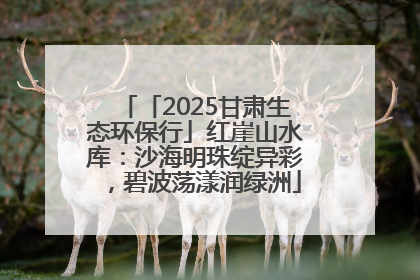 「2025甘肃生态环保行」红崖山水库：沙海明珠绽异彩，碧波荡漾润绿洲