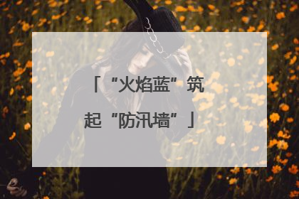 “火焰蓝”筑起“防汛墙”