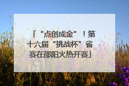 “点创成金”！第十六届“挑战杯”省赛在邵阳火热开赛