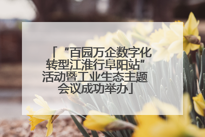 “百园万企数字化转型江淮行阜阳站”活动暨工业生态主题会议成功举办
