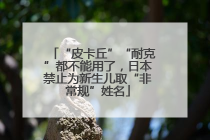 “皮卡丘”“耐克”都不能用了，日本禁止为新生儿取“非常规”姓名