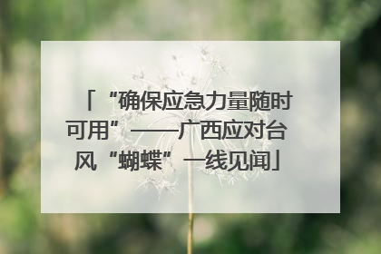 “确保应急力量随时可用”——广西应对台风“蝴蝶”一线见闻