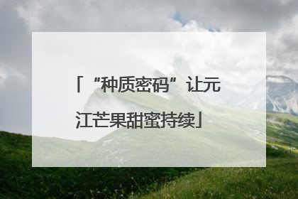 “种质密码”让元江芒果甜蜜持续