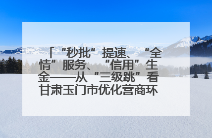 “秒批”提速、“全情”服务、“信用”生金——从“三级跳”看甘肃玉门市优化营商环境的进阶之路