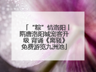 “粽”情洛阳丨隋唐洛阳城宠客升级 背诵《离骚》免费游览九洲池