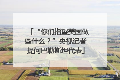 “你们指望美国做些什么？”央视记者提问巴勒斯坦代表