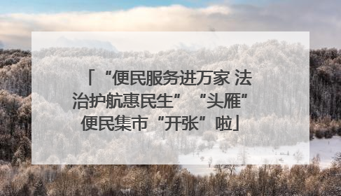 “便民服务进万家 法治护航惠民生”“头雁”便民集市“开张”啦