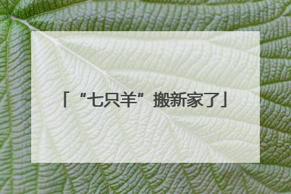 “七只羊”搬新家了