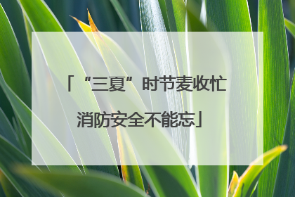 “三夏”时节麦收忙 消防安全不能忘