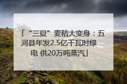 “三夏”麦秸大变身：五河县年发2.5亿千瓦时绿电 供20万吨蒸汽