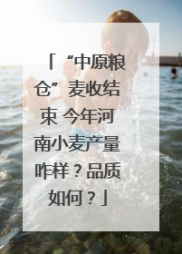 “中原粮仓”麦收结束 今年河南小麦产量咋样?品质如何?