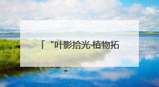 “叶影拾光·植物拓染”手作体验活动