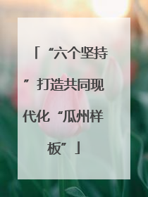 “六个坚持”打造共同现代化“瓜州样板”