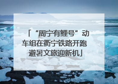 “周宁有鲤号”动车组在衢宁铁路开跑 避暑文旅迎新机