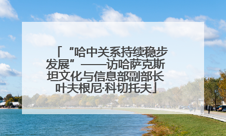 “哈中关系持续稳步发展”——访哈萨克斯坦文化与信息部副部长叶夫根尼·科切托夫