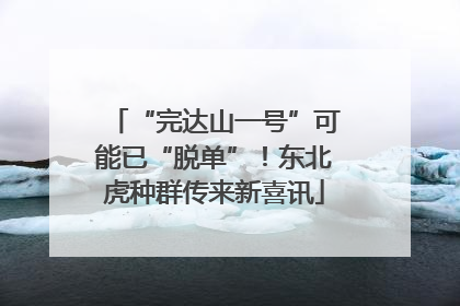 “完达山一号”可能已“脱单”！东北虎种群传来新喜讯