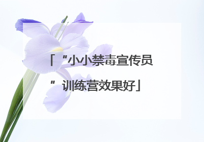 “小小禁毒宣传员”训练营效果好