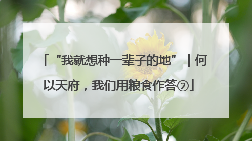 “我就想种一辈子的地”｜何以天府，我们用粮食作答②