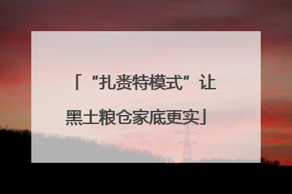 “扎赉特模式”让黑土粮仓家底更实