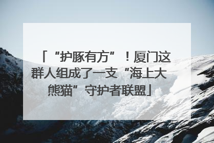 “护豚有方”！厦门这群人组成了一支“海上大熊猫”守护者联盟