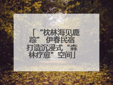 “枕林海见鹿踪” 伊春民宿打造沉浸式“森林疗愈”空间