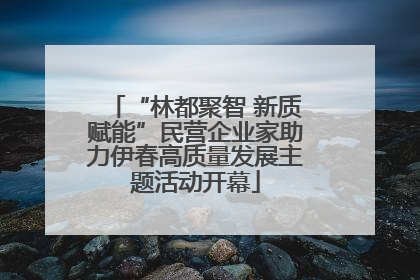 “林都聚智 新质赋能”民营企业家助力伊春高质量发展主题活动开幕