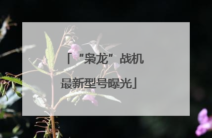 “枭龙”战机最新型号曝光