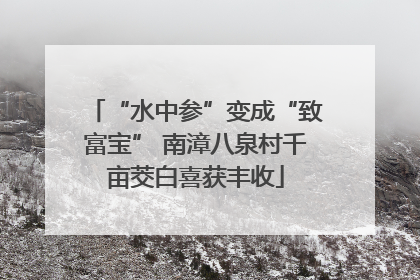 “水中参”变成“致富宝” 南漳八泉村千亩茭白喜获丰收
