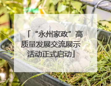 “永州家政”高质量发展交流展示活动正式启动