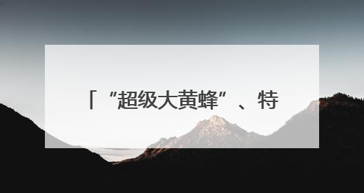 “超级大黄蜂”、特色涂装苏-30MKM 众多明星装备亮相