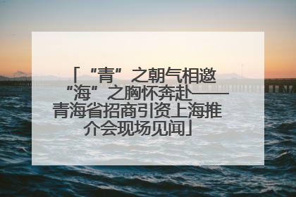 “青”之朝气相邀 “海”之胸怀奔赴——青海省招商引资上海推介会现场见闻