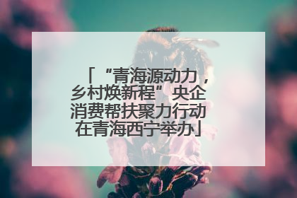 “青海源动力，乡村焕新程”央企消费帮扶聚力行动在青海西宁举办