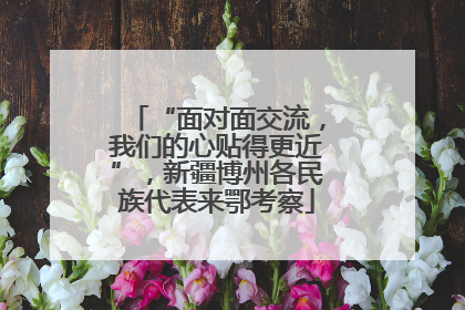 “面对面交流，我们的心贴得更近”，新疆博州各民族代表来鄂考察