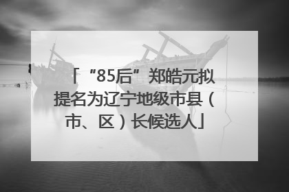 “85后”郑皓元拟提名为辽宁地级市县（市、区）长候选人