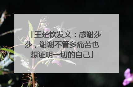 王楚钦发文：感谢莎莎，谢谢不管多痛苦也想证明一切的自己