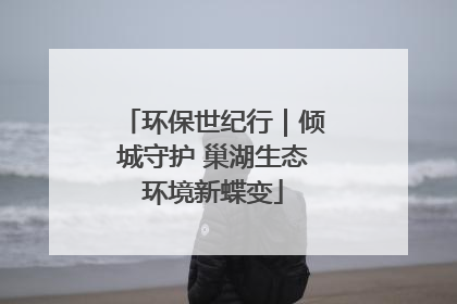 环保世纪行｜倾城守护 巢湖生态环境新蝶变
