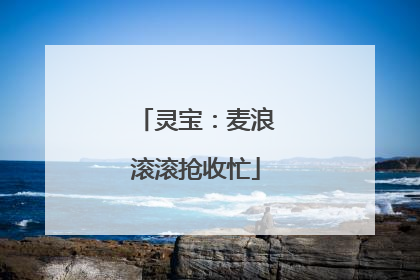 灵宝：麦浪滚滚抢收忙