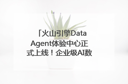 火山引擎Data Agent体验中心正式上线！企业级AI数据专家触手可及