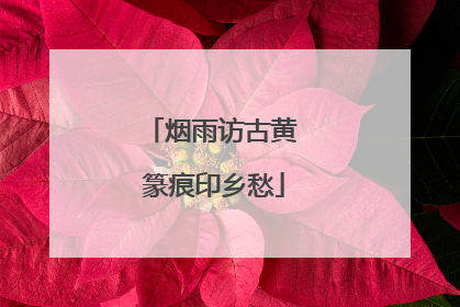烟雨访古黄 篆痕印乡愁