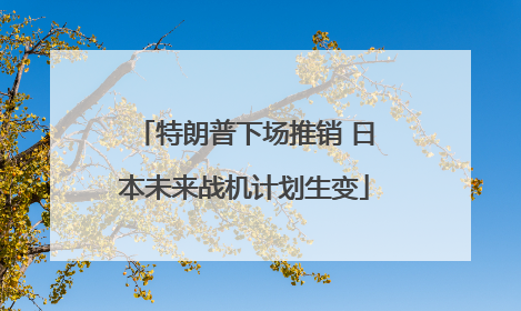 特朗普下场推销 日本未来战机计划生变