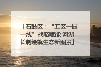 石鼓区：“五区一园一线”战略赋能 河湖长制绘就生态新图景