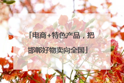 电商+特色产品，把邯郸好物卖向全国