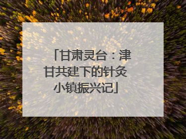 甘肃灵台：津甘共建下的针灸小镇振兴记