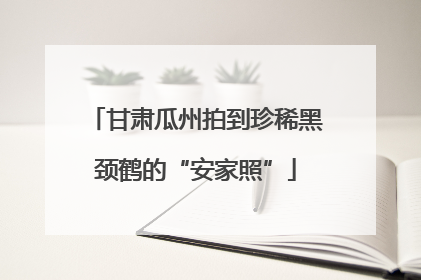 甘肃瓜州拍到珍稀黑颈鹤的“安家照”